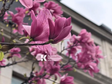 ��������� �������� ����������� ��-������ ���������