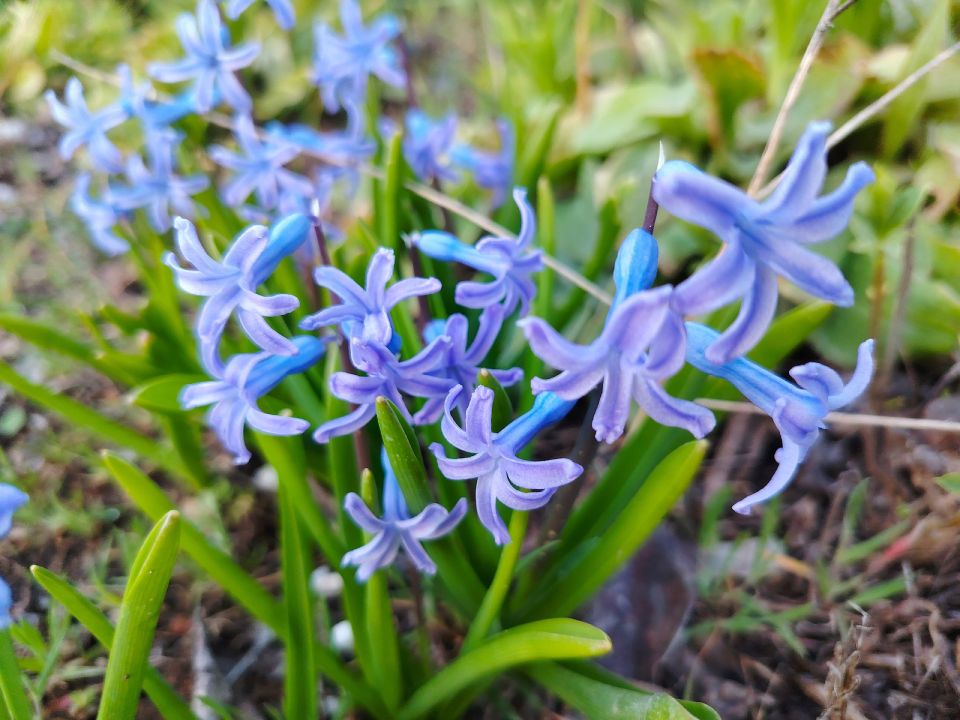 ������ ����, �������!. ������ ������, �������� ���������� � ����� �� ���� ����! ������� � �������� ������� (�������� ��������� ������ � ���� �����), t +5 - +11, ����� ���������, ��������