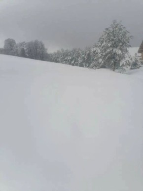 � ��� ������ ������������ � �������� � ����� �����������