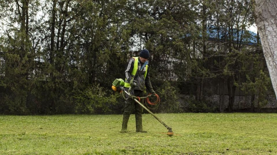 � ����������� ��������������� ������-������������ �������