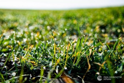 � ����� ����� ����� ������� ������� �������� ������ ��������