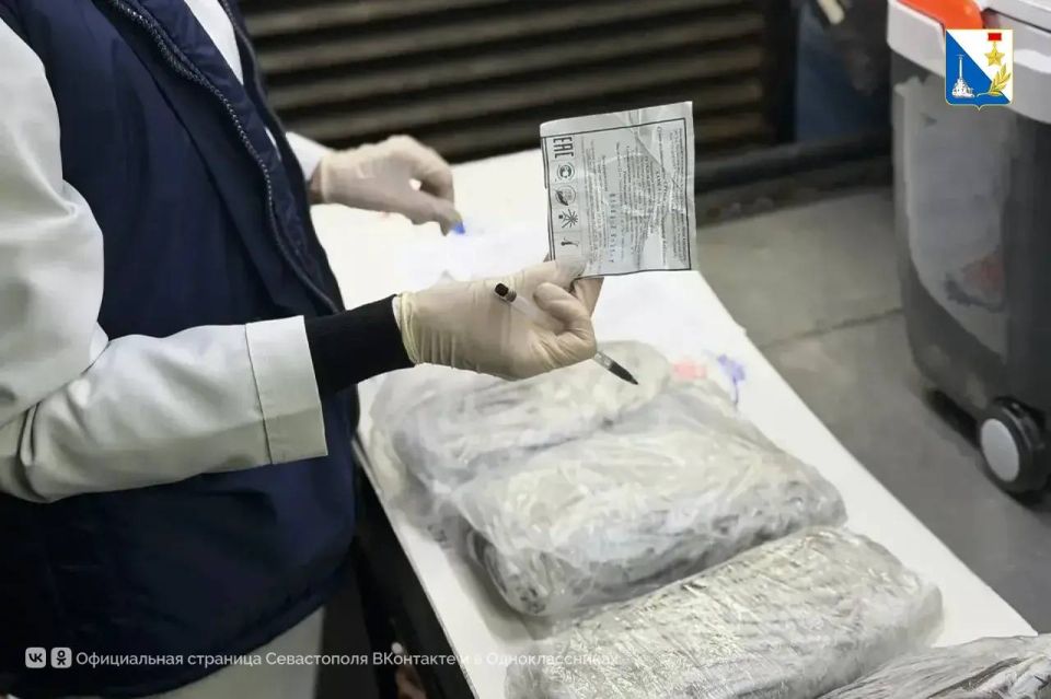 В Севастополе тщательно проверяют качество черноморской рыбы В Севастополе тщательно проверяют качество черноморской рыбы