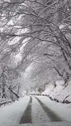 ��������� � ����� ���������: ���������� �������� �������� ������