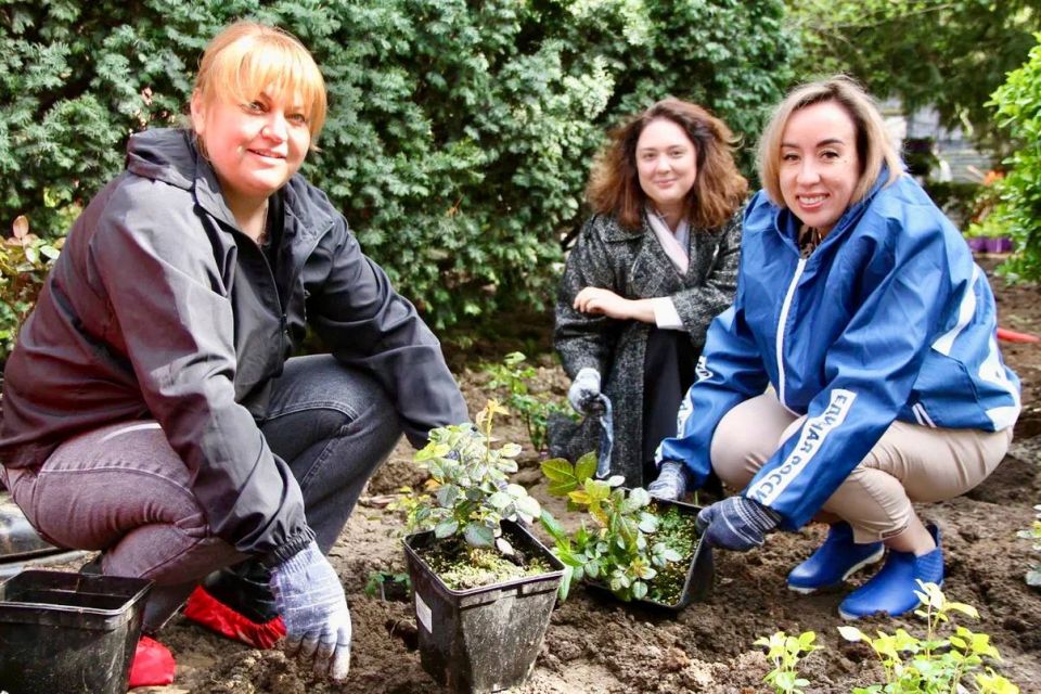 ���������� �����������: � ������ ������� ��������� ���������� ����������� ����! ��������������� ������ ����������� �����������, �������� �������� ����� ����� �������