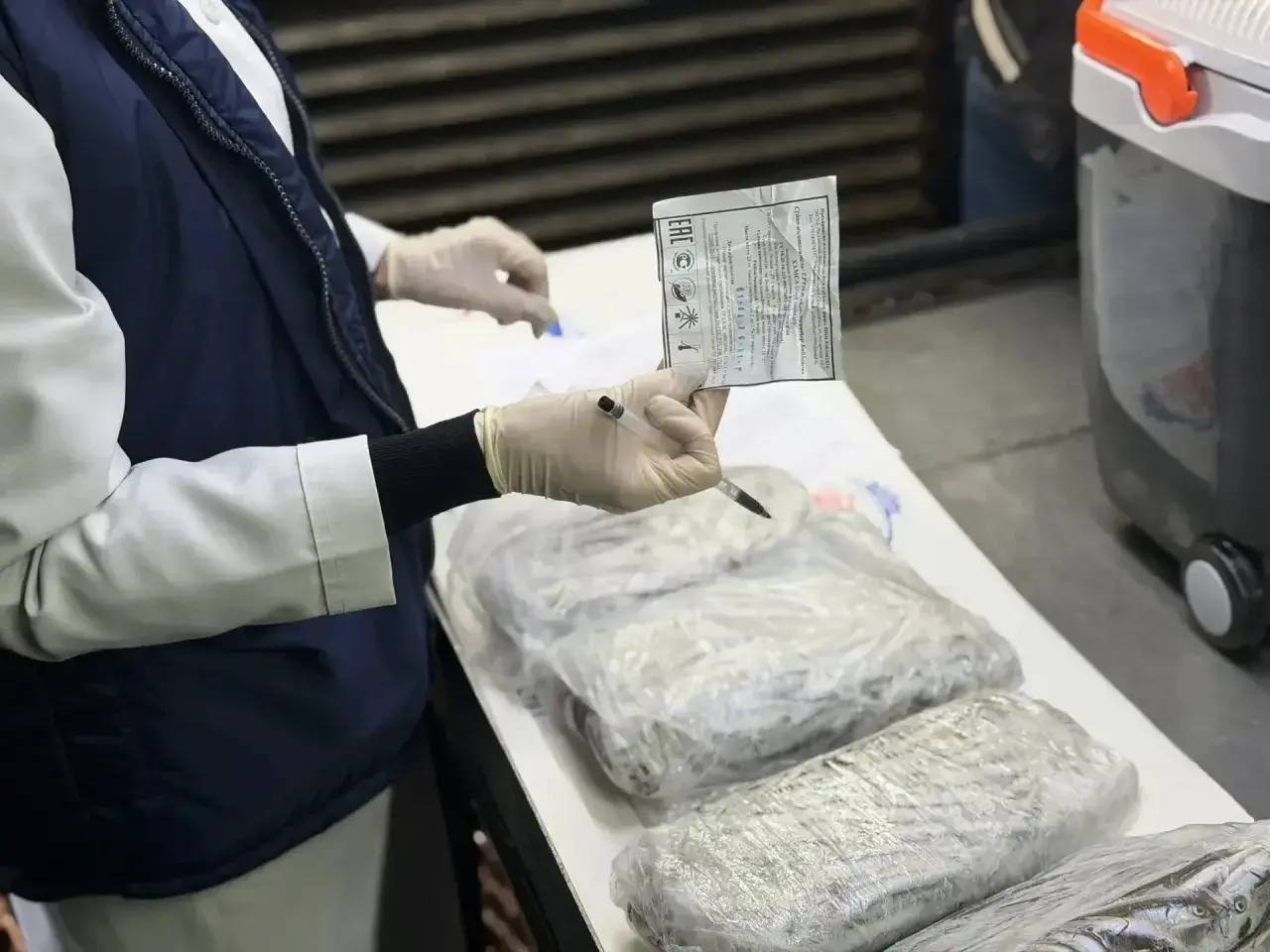 Михаил Развожаев: В Севастополе следят за качеством черноморской рыбы Михаил Развожаев: В Севастополе следят за качеством черноморской рыбы