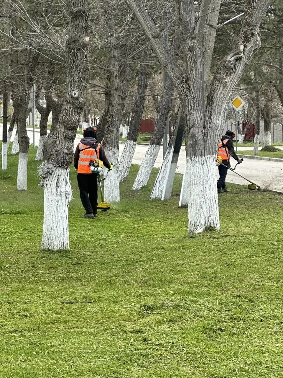 Валентина Биджакова: Весна в разгаре - а значит, время творить красоту вместе!