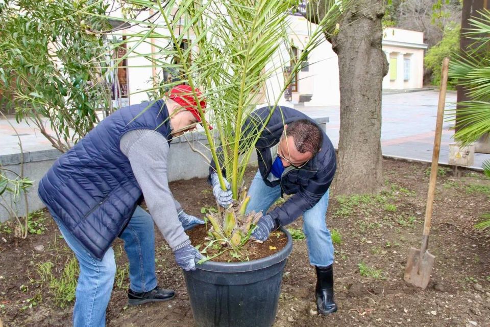 ���������� �����������: � ������ ������� ��������� ���������� ����������� ����! ��������������� ������ ����������� �����������, �������� �������� ����� ����� �������