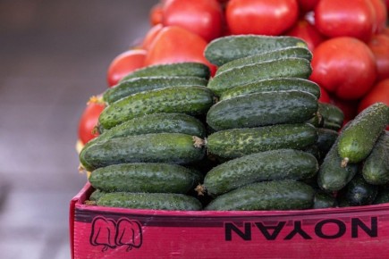 На этой неделе отметили Международный день действий против генетически модифицированных продуктов и организмов