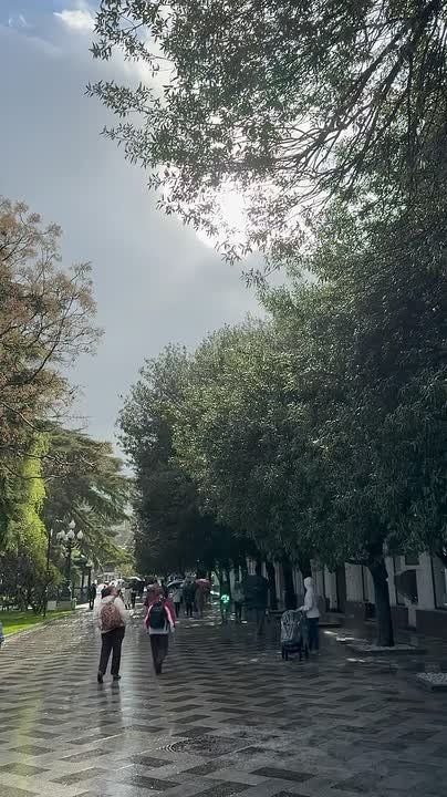 ���� ����: ����. ����� � ������