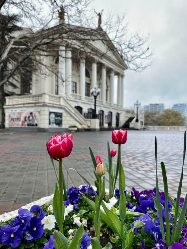 �������� ���������� �����������: ����� ����� ��� ������, ����� ���� �� ��������� � ��������� ����