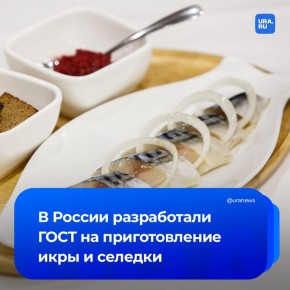 Рекомендации по технологии приготовления селедки и рыбной икры разработаны в России