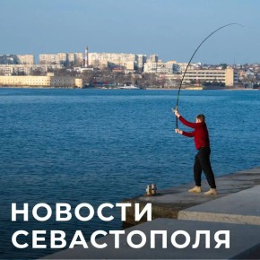 ������ ���������: ������� � �������:. ��������� ������������� �����������: