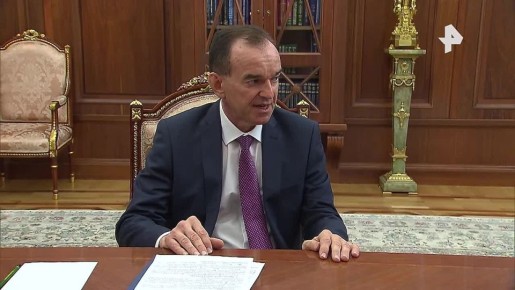 Губернатор Краснодарского края Вениамин Кондратьев сообщил президенту России Владимиру Путину об увеличении в регионе числа виноградников на 6,5 тысячи