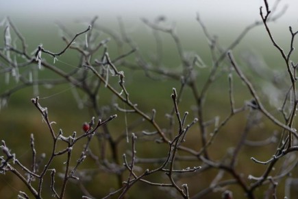 ��������� ������ � ���� ��� ������