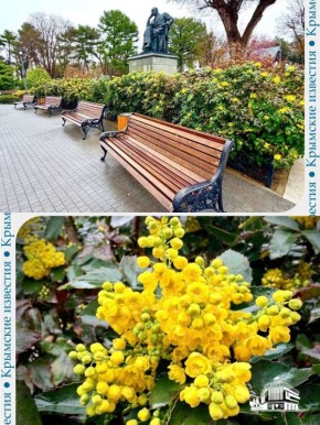 ������������ �������� �� �������� ������� ������� � ������ ����� ������� � �����������