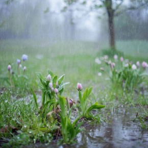 ����� ������ ��� ������� � ������ ����� 12 ������