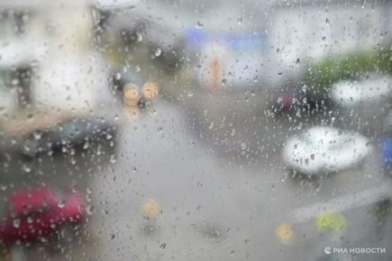 ������� ������ � ����� �� �����������