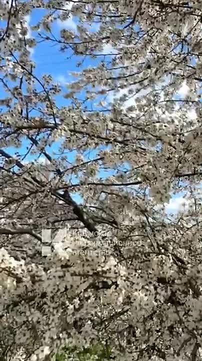 ���������� ���� � ����� ������� ������ ������� �������