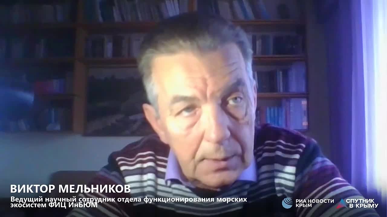 Экосистему Черного моря можно восстановить только с помощью правительственных программ