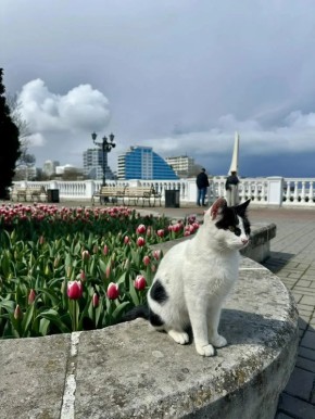 ������ � ����������� ������� � ������������, ��� �������