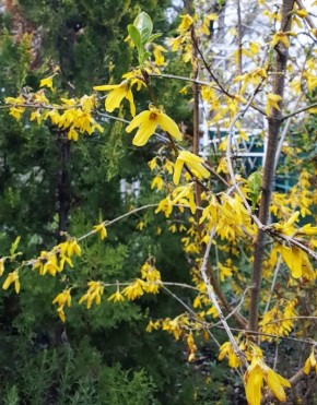 �������� ����� � ��������� ������������ ����