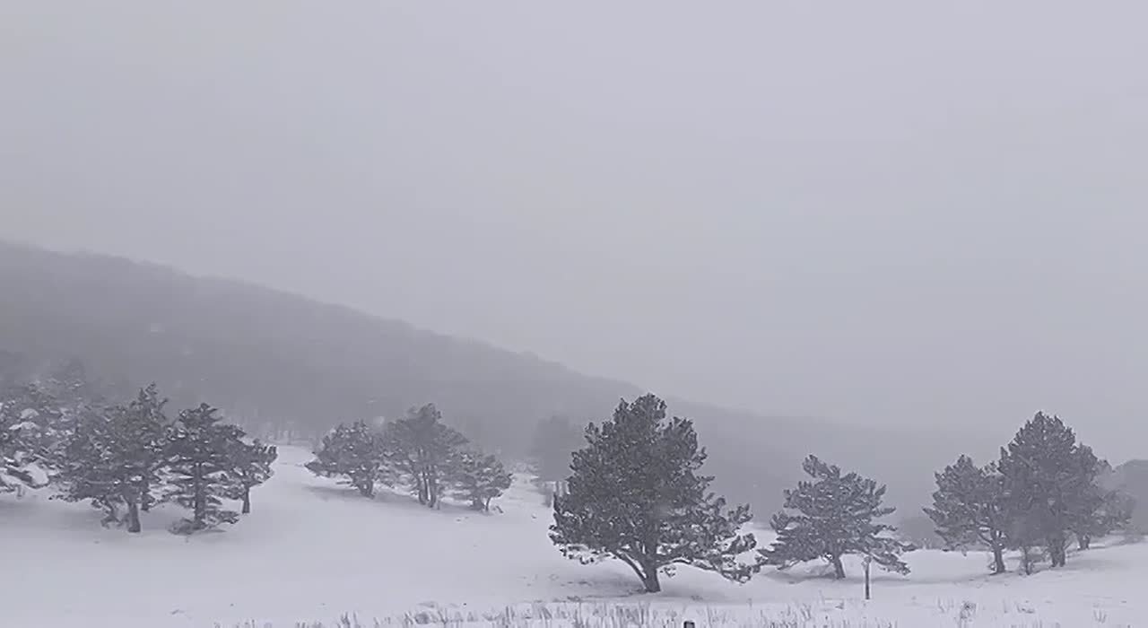 Крымские горы накрыло снегом — толщина покрова достигает 13 сантиметров