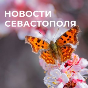 Михаил Развожаев: Коротко о главном:. Христос Воскресе! Воистину Воскресе! В Севастополе встретили праздник Светлого Христова Воскресения