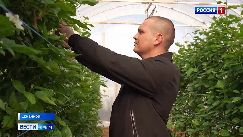 �� ��������� ����������� ��������� ������ �����