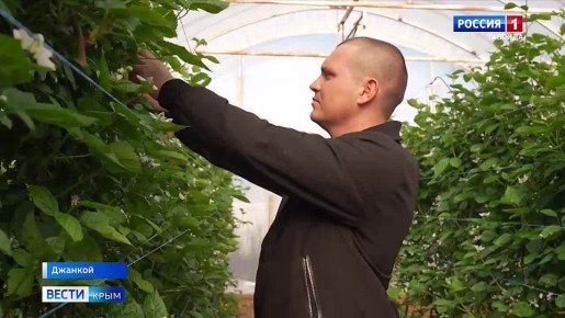 На прилавках Симферополя появились первые ягоды