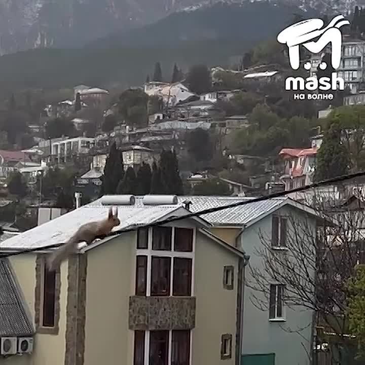 ����������, ������ ����? �� ��. ����