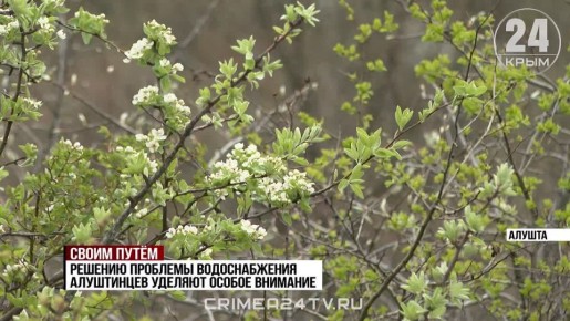 ����� ����: ��� � ����� ������������ ����� ������� � ������ �����������?