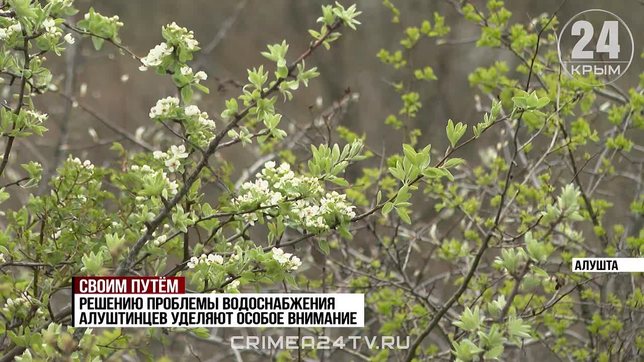 Своим путём: как в Крыму обеспечивают водой жителей и гостей Южнобережья?