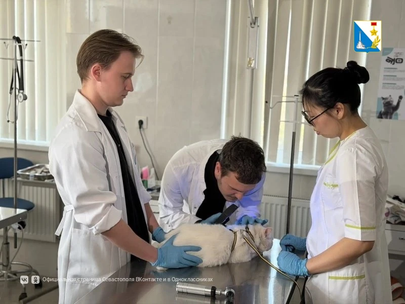 Госветслужба Севастополя помогает студентам осваивать профессию на практике Госветслужба Севастополя помогает студентам осваивать профессию на практике