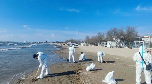 �� ����������� ���� ����� ��������� ����� � ������������� ������ � ������� �����