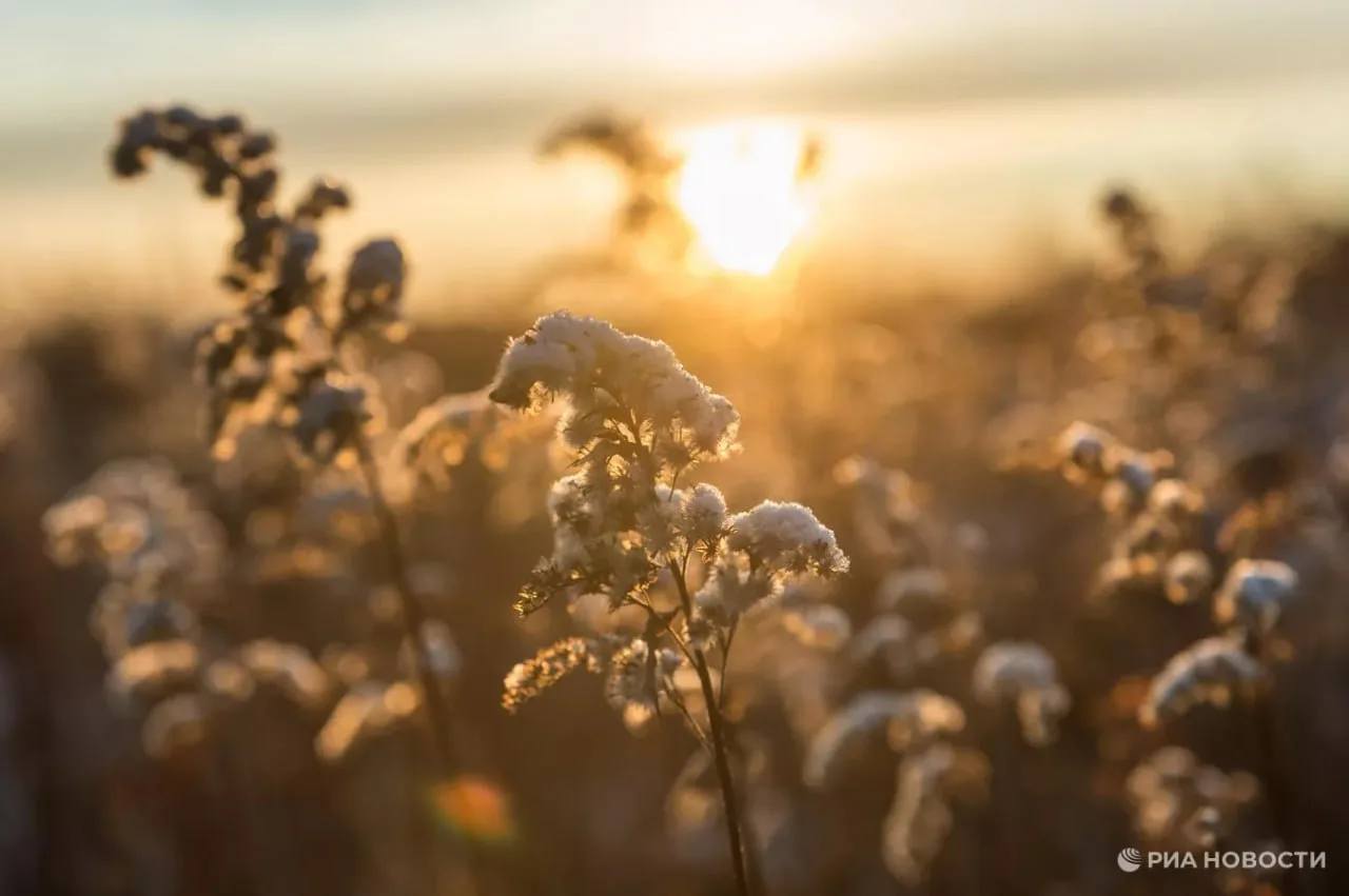 В степных и предгорных районах Крыма ударил мороз