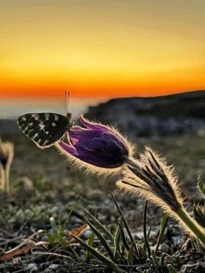 ���-����� �� ���� ���������� ��������� ������ � ��� ����� ���� ��������?