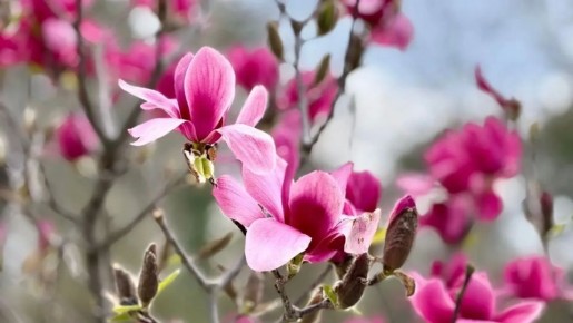 �������� ����� � �������������� ������