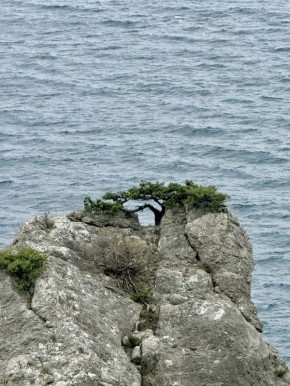 ������� ����� �� ������! � ��� �� �����, ����� �� ��� � ��������?