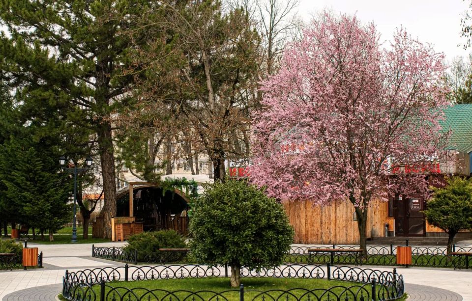 ������ ����!. #�����������