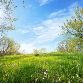 ����� ������ ��� ������� � ������ ����� 14 ������