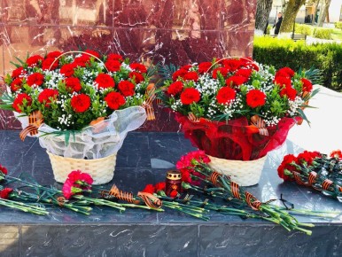 11 ������ ������ ���� � ������� ������ ������ - 82� ��������� �� ��� ������������ ���������������� �� ����������������� �����������