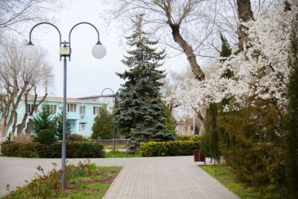 ������ ����, ���������!. ����������� ������� ���������� ������� �� +13��