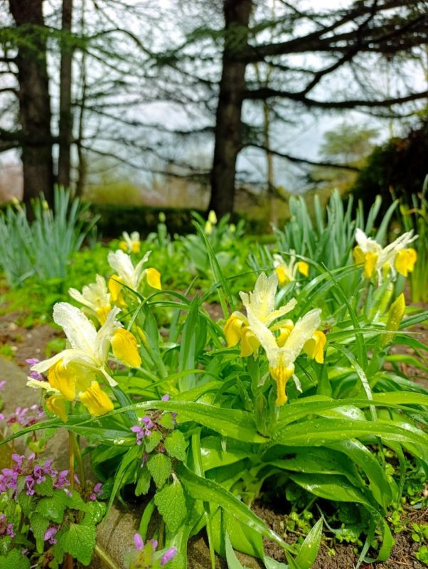 � ����������� ������� ������ ��������� ��������� � ����� ���������