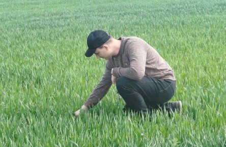 ����������� ������������� ��������� ��������� ������ ������� � ������������, ������������, ������������ � �������������� ������� ����������