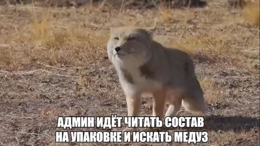 ������� ���: � �������� ���� � ���� �������� ����������� � ������ ����������� ����������� ���� �����