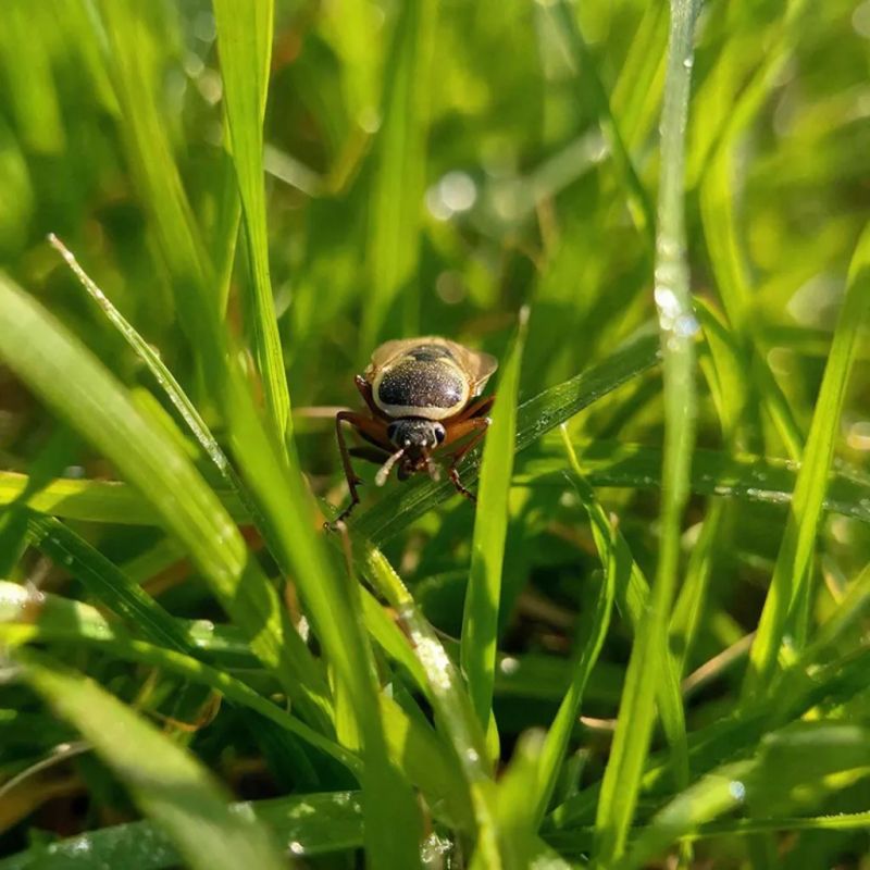 � ����� � ������ ���� ������������� ����� 200 ������� ������ �������