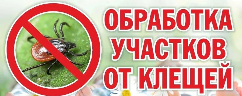 ���������� ��� ���������!. ��������� ������ � ����� ������ ��������, ������������� ������ ����������� ���, ��� � ������ ����� � 17.04.2026 �� 18.04.2026 �� ������������ ����������� ���������� ������, ��������� ���������...