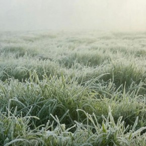 � ��������� ��� � ����� ��������� ���������