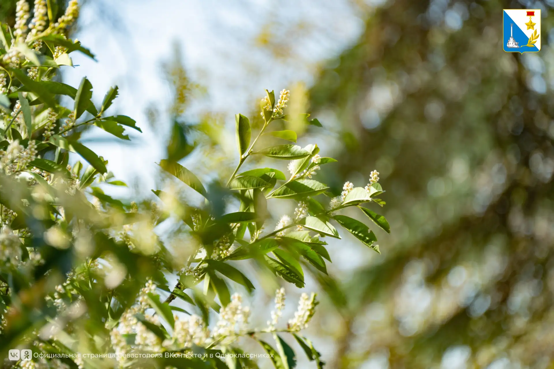 Специалисты «Парков и скверов» приводят в порядок общественные пространства после зимы Специалисты «Парков и скверов» приводят в порядок общественные пространства после зимы