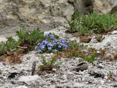 ���� ��� �� ������, �� ���������� ��� �������